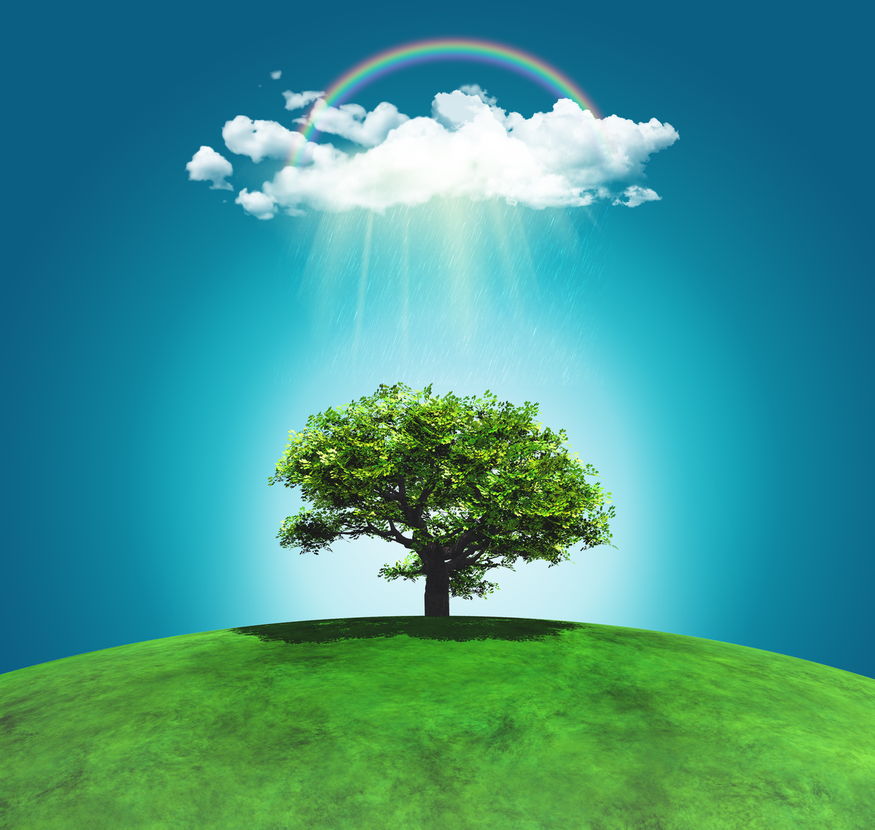 地球に立つ立派な木と雲と虹